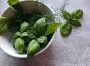 Будет свежей до 50 дней: как хранить разную зелень дома