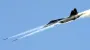 Su-35 fighter jet downed in Russia