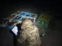 "Рыбалка на миллионы": экоинспекция обнаружила масштабные нарушения в заповеднике в Одесской области