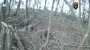 Ukraine's Special Operations Forces kill Russian group heading into Sumy Oblast – video