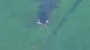 Ukrainian Air Force releases footage showing burning of downed Russian Su-35 &#8203;&#8203;fighter jet