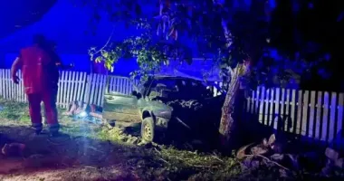 Смертельне ДТП на Вінниччині: двоє чоловіків загинули, врізавшись у дерево