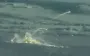 ВСУ уничтожили российский Бук-М3 с боекомплектом