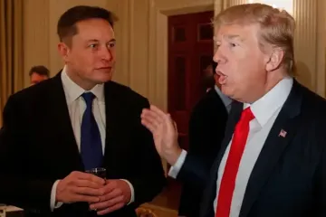 Маск подрался с министром финансов США под кабинетом Трампа: детали