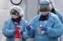 Изменение климата запустило новую пандемию: смертоносная плесень распространяется по Европе - кто в зоне риска