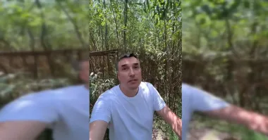 Достигают 9 метров в высоту: на дне Каховского водохранилища вырос густой ивовый лес (видео)