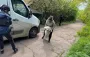 Прячутся от ТЦК: на Сумщине люди отказываются эвакуироваться из приграничной зоны (видео)