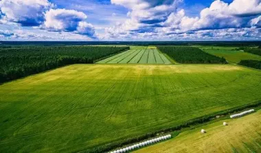 Земельний податок 2025 — хто може не сплачувати