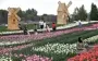 Сухо, подекуди грози: в Україні відступає спекотна погода