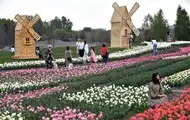 Сухо, подекуди грози: в Україні відступає спекотна погода