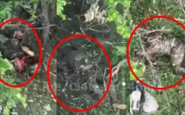 Kamikaze drone operator kills three invaders with single strike. VIDEO