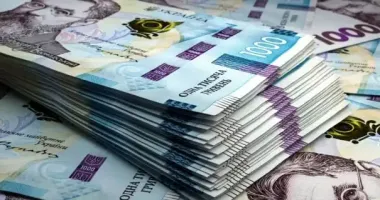 Полмиллиона на ветер: в Киеве предприниматель обманула иностранную компанию