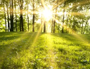 На юге до +29°, на востоке — дожди с грозами: погода в Украине 10 июня
