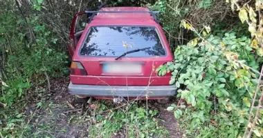Велосипед додому, авто – в кювет: на Житомирщині зловили крадія