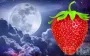 Клубничное полнолуние 11 июня 2025: нюансы периода и что категорически запрещено делать