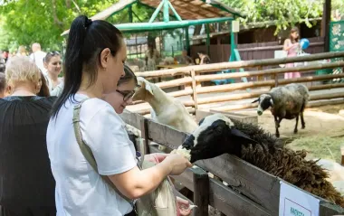 Безпілотник ударив по Одеському зоопарку: загинула тварина