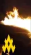 "Использовали для тактических задач": партизаны в Мелитополе уничтожили авто операторов БпЛА РФ (фото)
