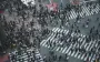 В ООН заявили об историческом минимуме уровня рождаемости в мире