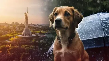 Якою буде погода 11 червня: мапа