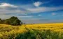 Гороскоп для всіх знаків зодіаку на 12 червня 2025 року