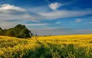 Гороскоп для всіх знаків зодіаку на 12 червня 2025 року