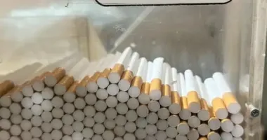 На Львовщине пограничники разоблачили масштабную схему фальсификации табачных изделий