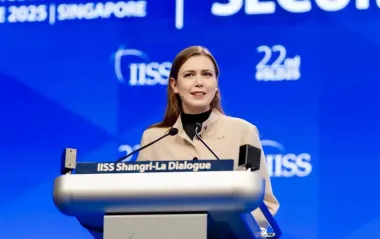 Литва борется за членство Украины в НАТО вопреки давлению