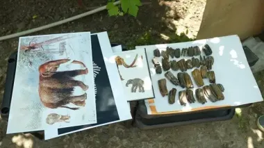 На берегу Днепра ученые нашли кости доисторических существ (фото)