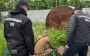 СБУ запобігла теракту в центрі Івано-Франківська