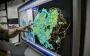 Місяць контрастів? Як травень 2025 став майже рекордом і куди приніс холодні аномалії