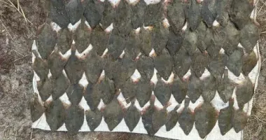 На Одещині поліцейські затримали двох браконьєрів: що їм загрожує