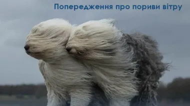 В п'ятницю 13-го погіршиться погода – пориви вітру