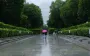 Сильний вітер та дощі: синоптик попередила про негоду на завтра