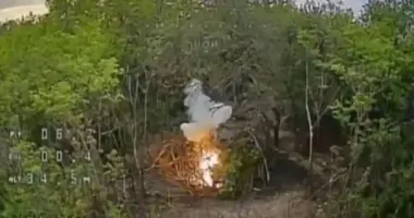 Прикордонники показали, як нищать російські гармати та РЛС