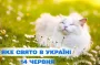 Яке завтра, 14 червня, свято — все про цей день, яке церковне свято, що не можна робити