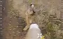 Russian tries in vain to shoot down Ukrainian drone with automatic rifle before his death. VIDEO