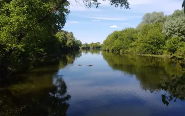 У Сумській області провели термінову перевірку води у Сеймі: що виявили