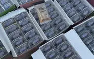 В Україні викрили міжнародний канал наркопостачання