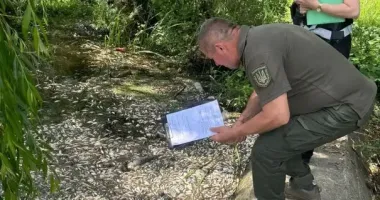 В Житомирской области зафиксировали массовую гибель рыбы