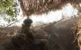 Росіяни посилили штурми біля Торецька, але були знищені, - ОТУ "Луганськ"