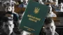 Нардеп ответил, сколько человек можно привлечь в армию при снижении мобилизационного возраста на год