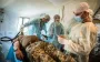 Assignment of medics to non-specialized military roles banned – Ministry of Health