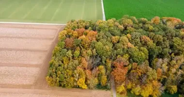 Підприємство на Дніпропетровщині змусили відшкодувати понад 20 млн грн несплачених податків