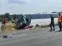 4 погибших: во Франции в ДТП попал автобус с украинскими детьми, что известно (видео)