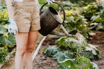 Рослини самі знають скільки: як часто потрібно поливати овочі на городі
