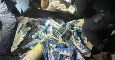 В Закарпатье пограничники обнаружили 1380 пачек сигарет в международном автобусе
