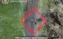 Soldiers of 5th SAB dealt devastating blows to enemy equipment, destroying two motorcycles and infantry shelters. VIDEO