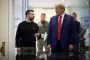 Зеленський і Трамп не зустрінуться на саміті НАТО — відома причина