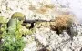 Росіяни зупинені на Сумщині - Зеленський
