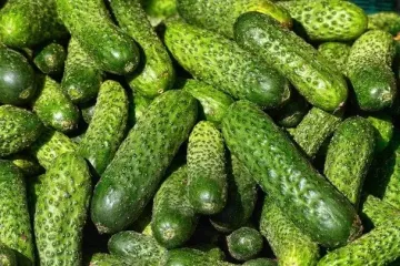 В Украине зафиксировали стремительное изменение цен на один из салатных овощей